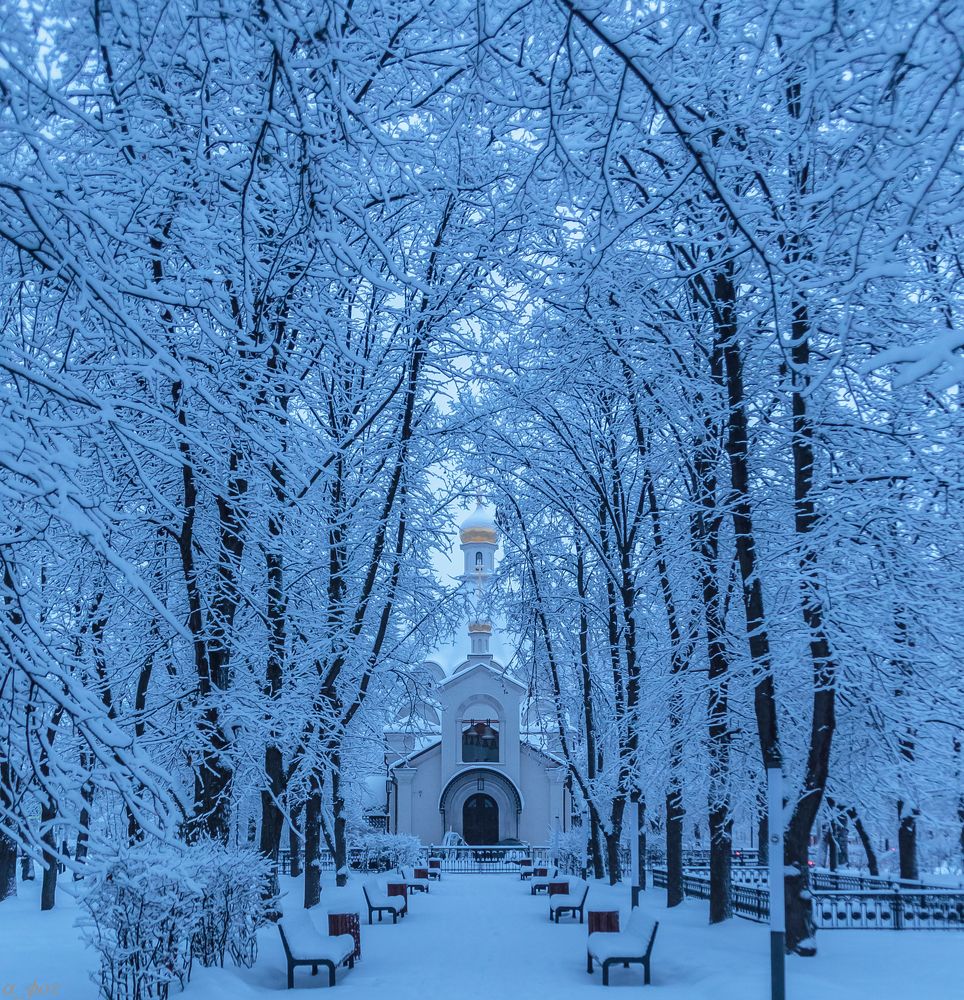 зимняя сказка в сквере