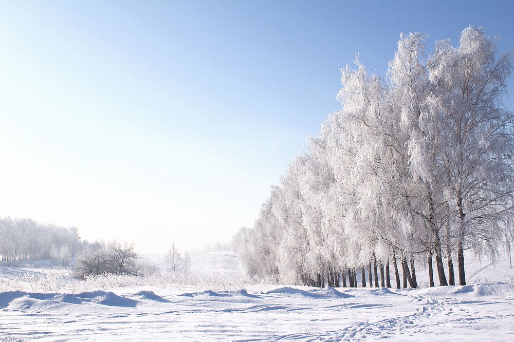 Звенящий мороз