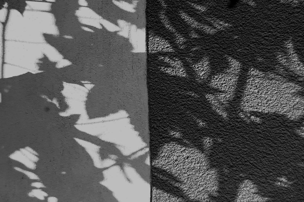 mirroring the shadows