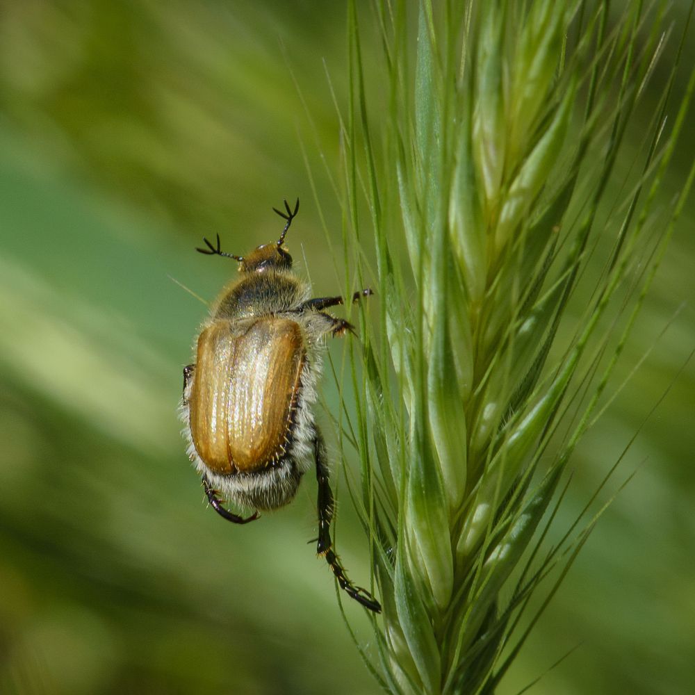 Photograph by Андрей Плужаров