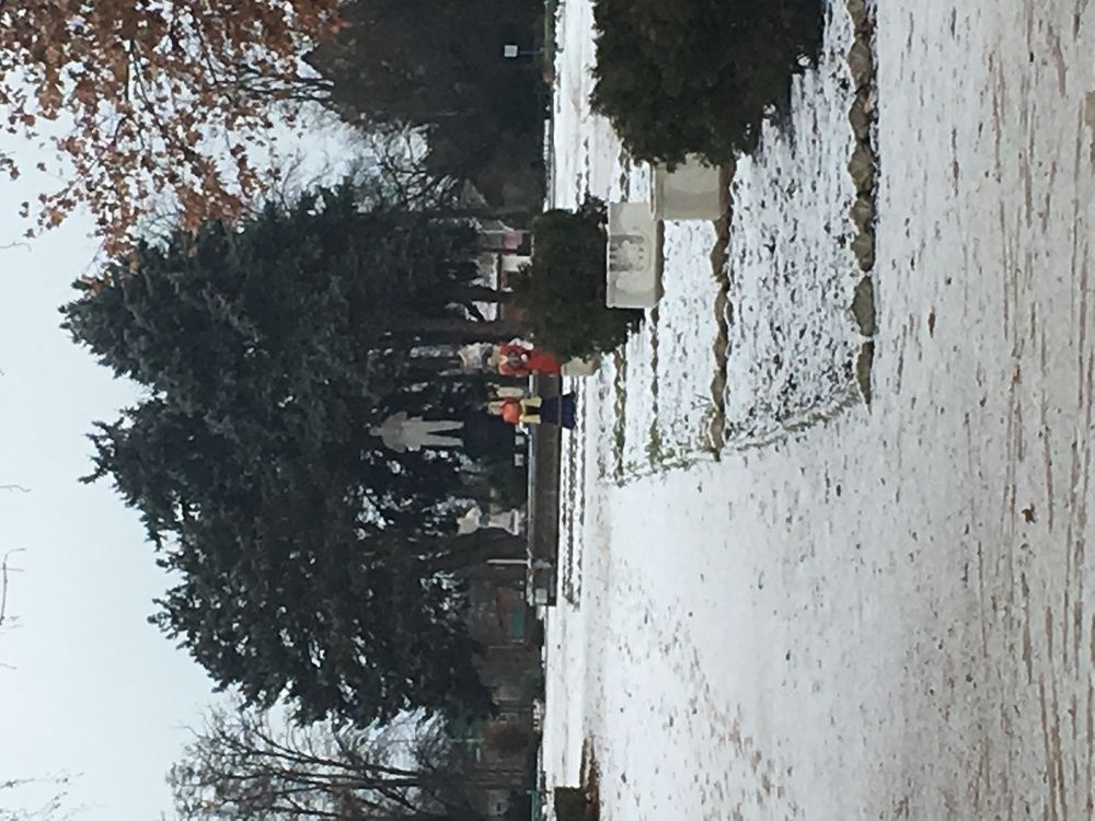 Зимний парк