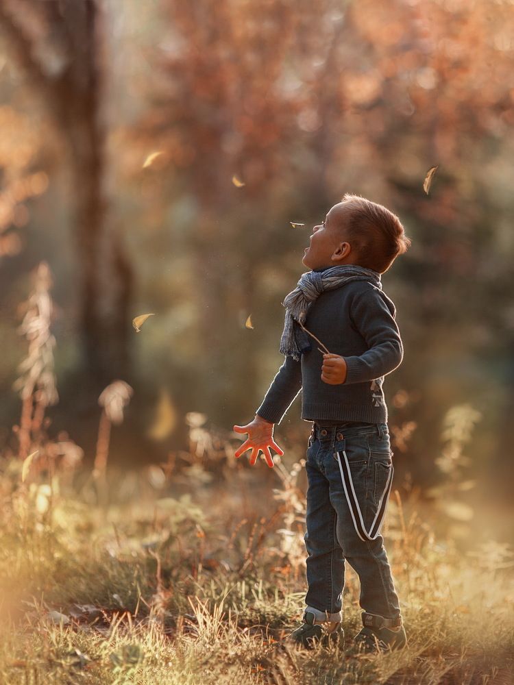 лети лети лепесток