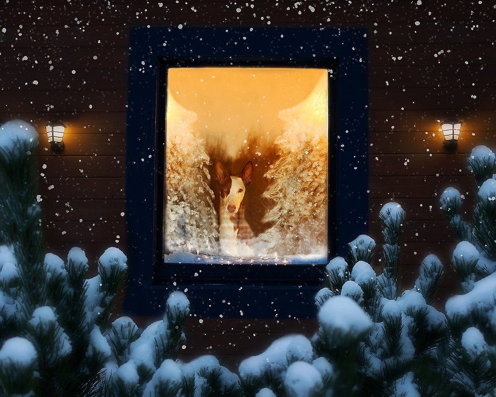 Photograph by Старикова Светлана