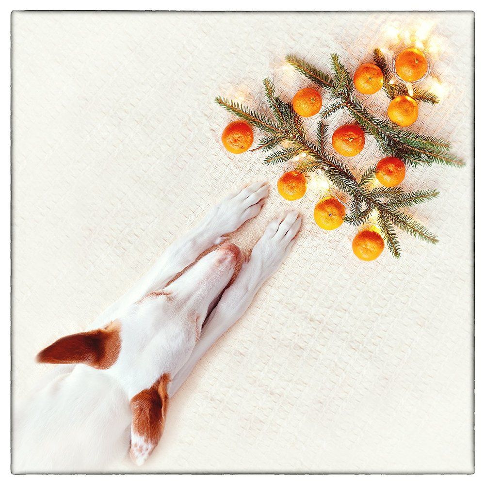 Photograph by Старикова Светлана