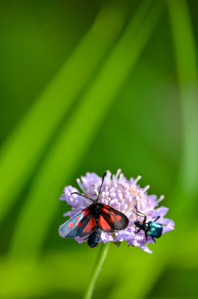 давай дружить