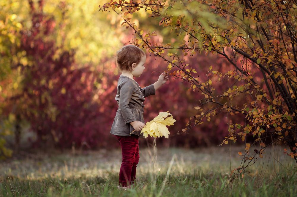 Фотография автора Ирина Забураева