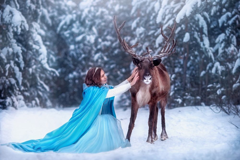 Лесная сказка