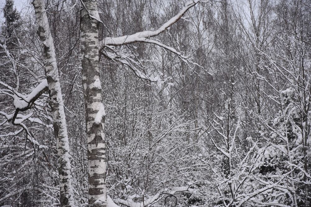 Дом отдыха. Ярославль.