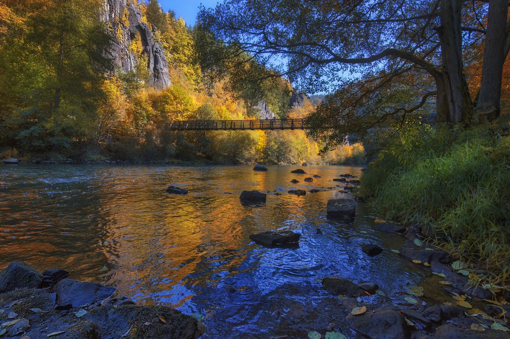 Золотая речка