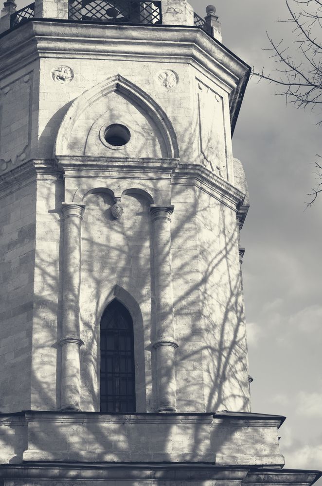 Дерево  прошлого