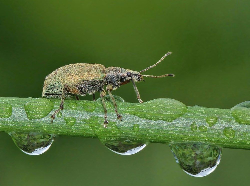 после дождя