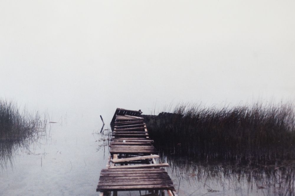 Рассвет природы