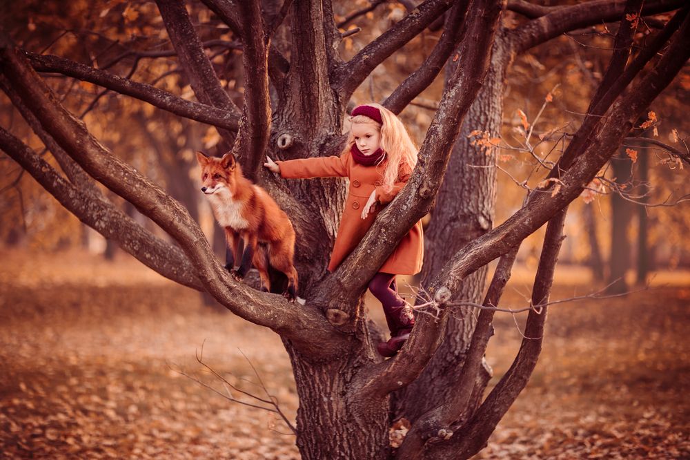 Лисичкины сказки