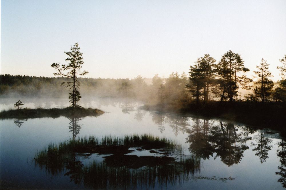 Солнце встает