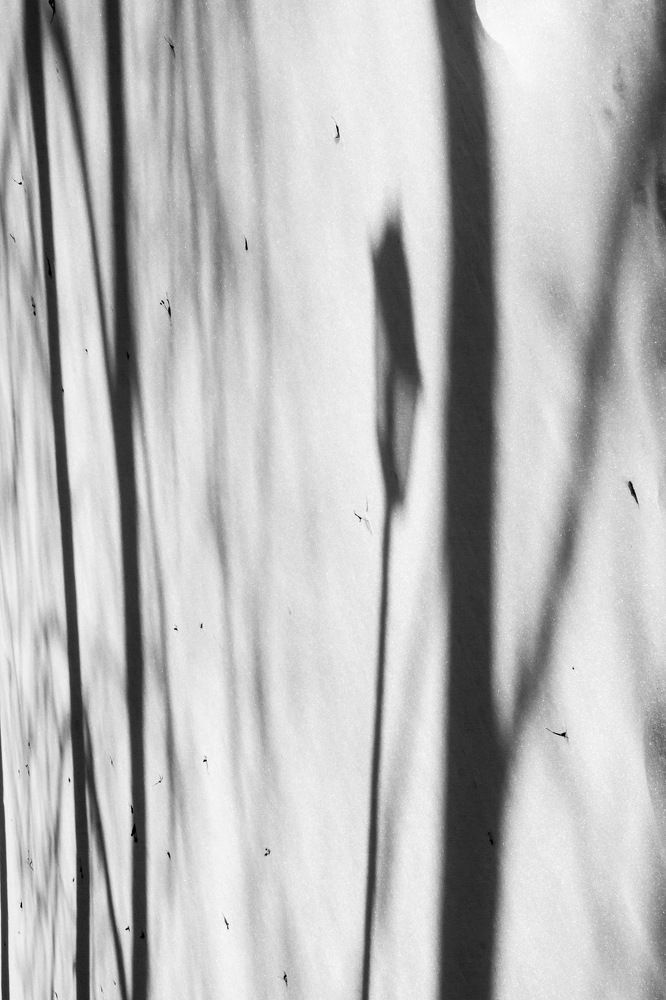 Photograph by Александр Комаров