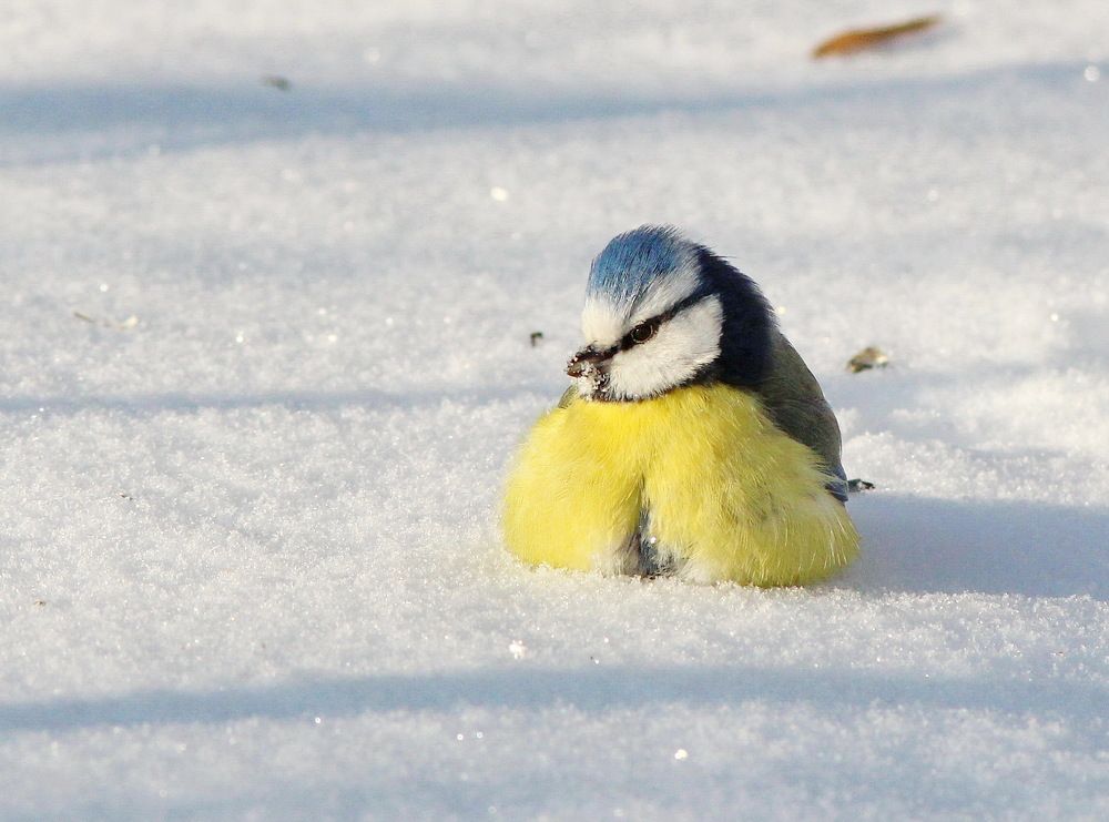 Очень холодно