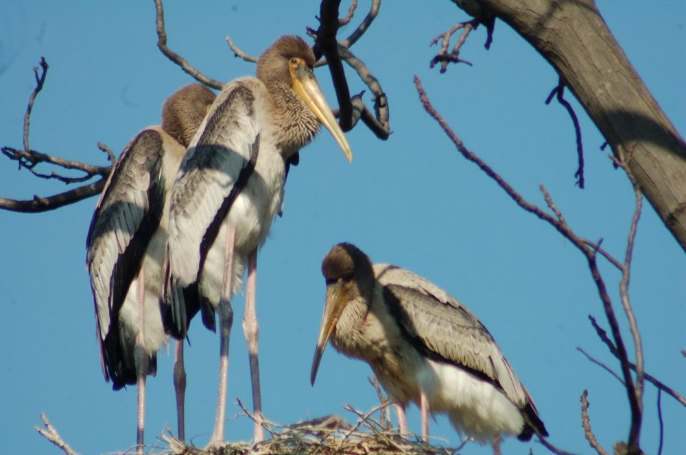 Ohhh,it was so cold.