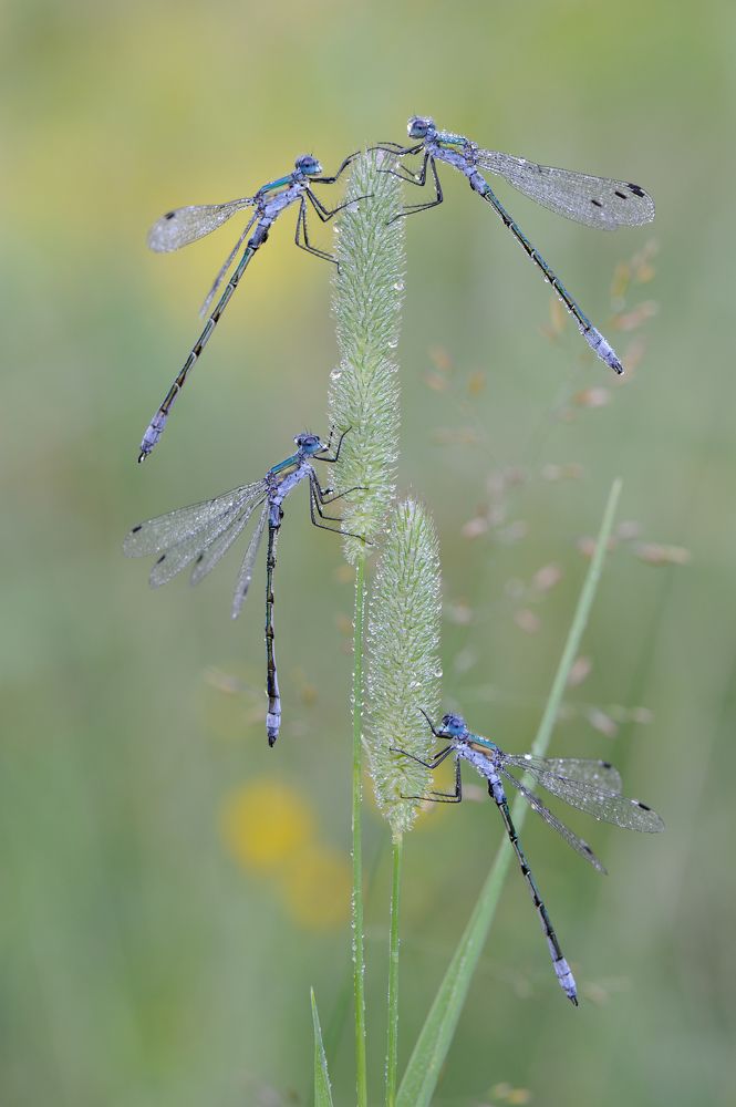 Утренний фреш в отеле.