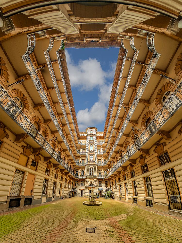 Symmetric House yard