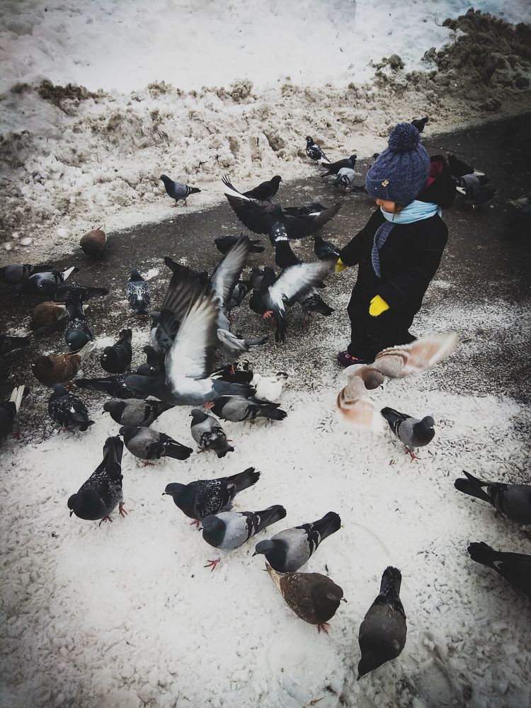 маленькая предновогодняя встреча