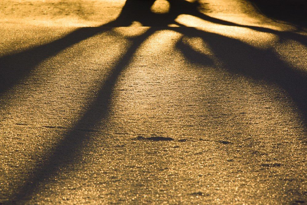 золотой снег