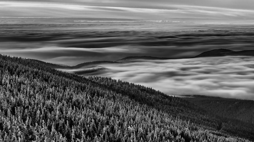 Shadows of Landscape