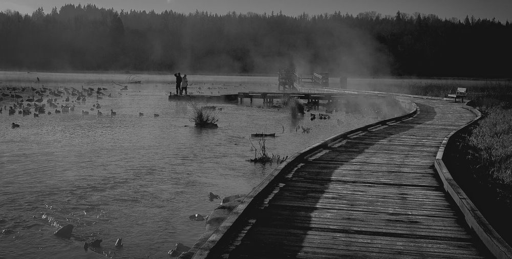 Scenes from early morning in Burnaby Lake park