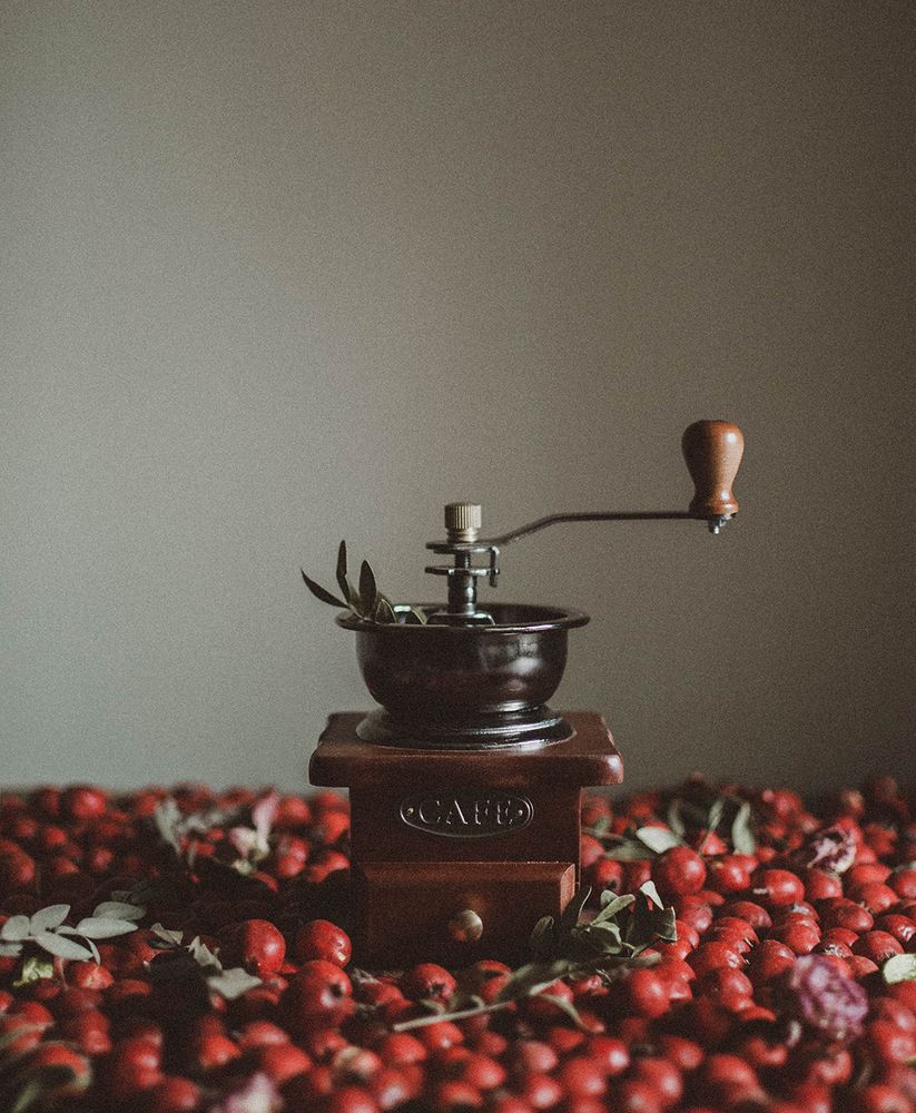 Photograph by Чернякова Анна