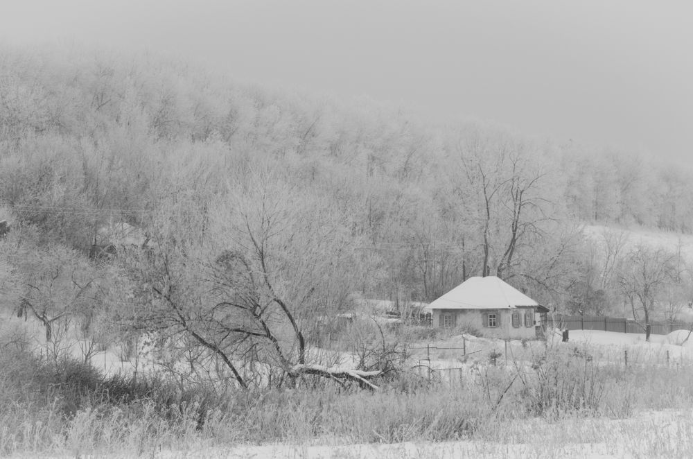 зима в селе