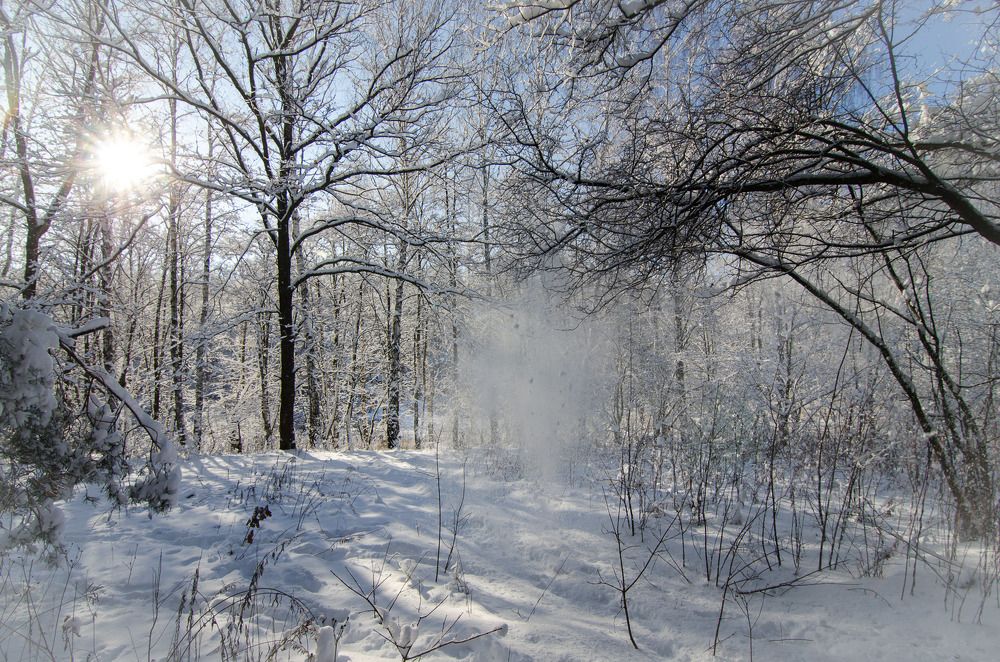 зимняя история