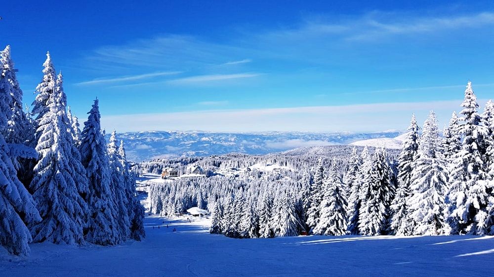 Zimski pejsaž na planini Kopaonik