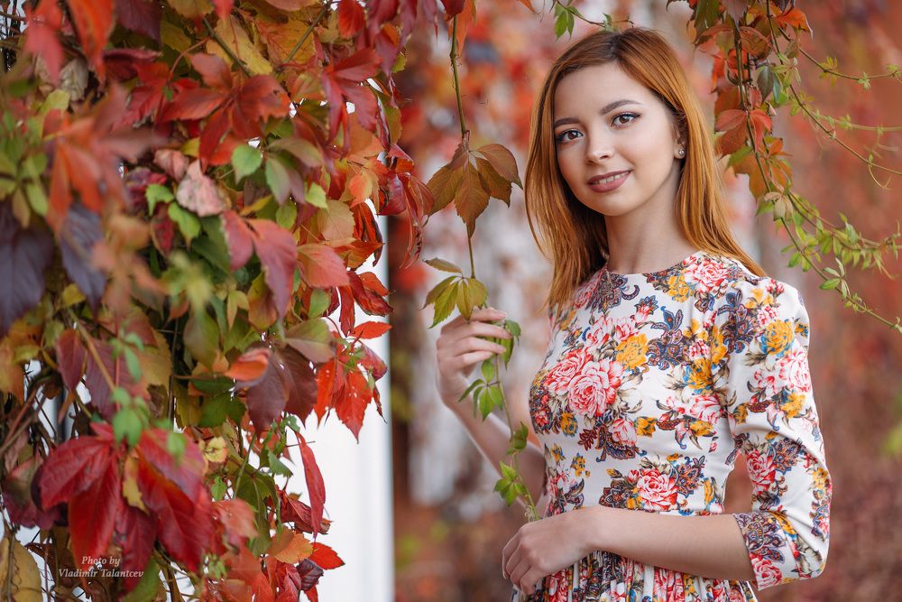 Photograph by Владимир Таланцев