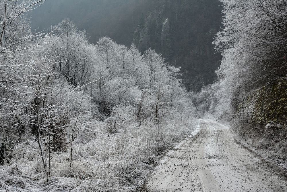 Фотография автора Олег Набровенков