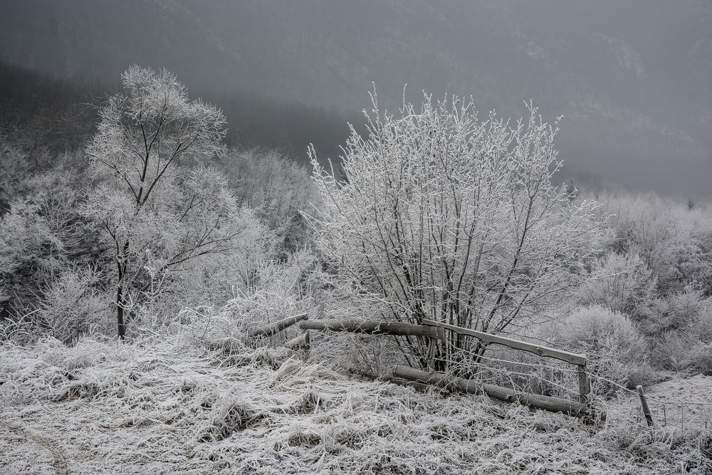 Фотография автора Олег Набровенков