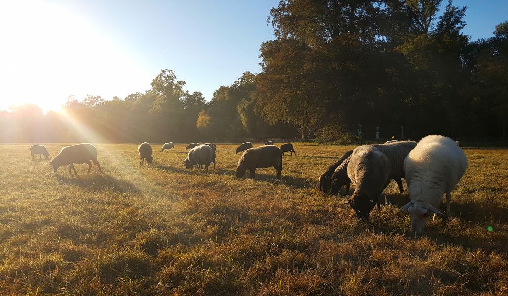 Photograph by Юлия Борт