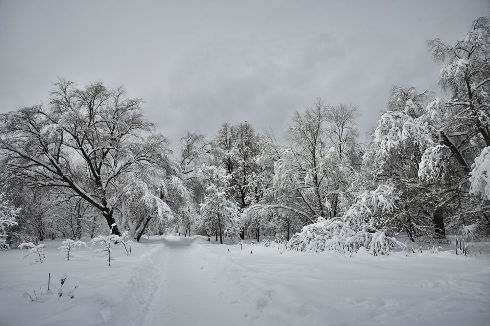 ЗИМУШКА-ЗИМА