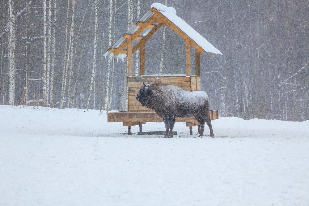 В ожидании.