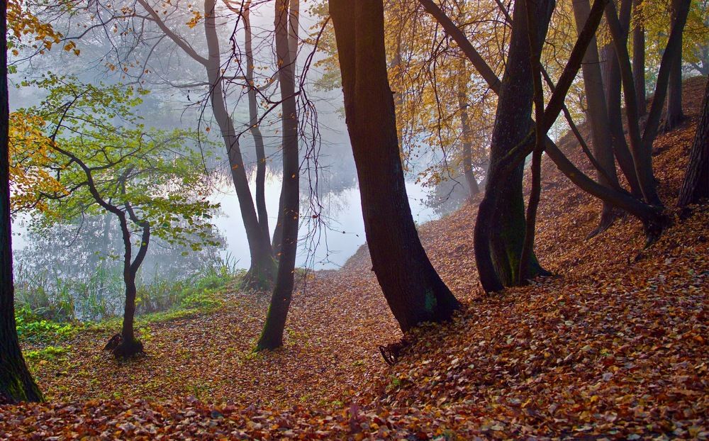 ... в черте города ... (Минск)