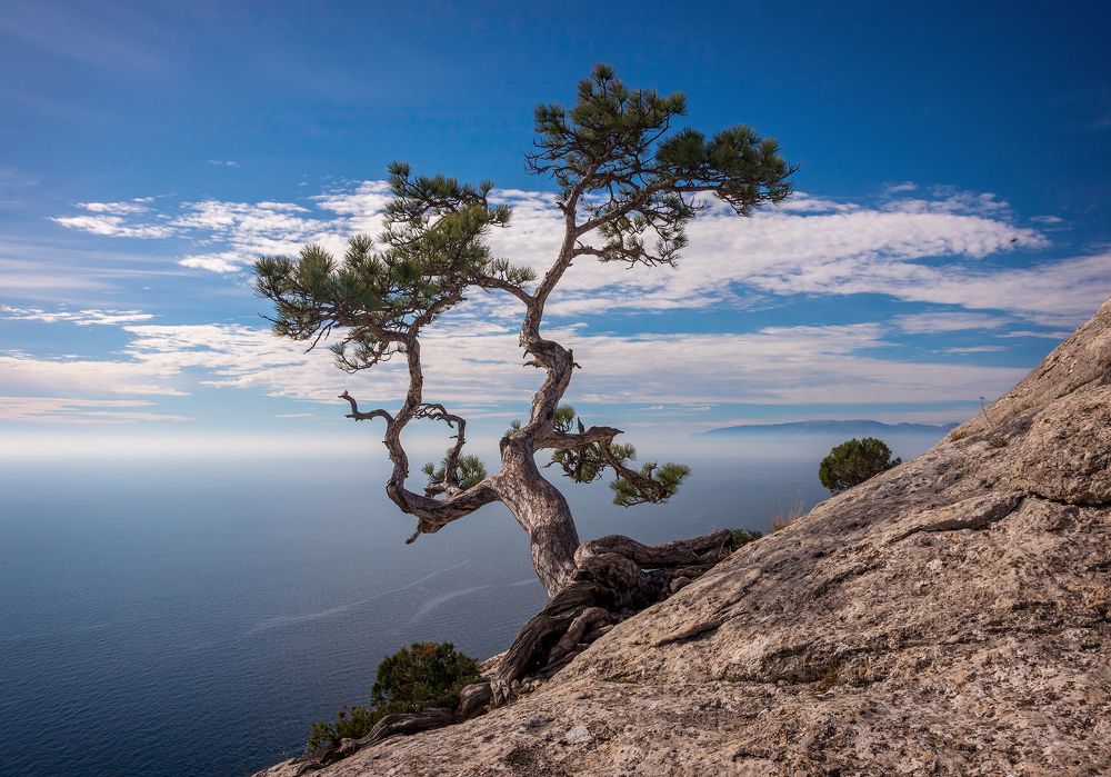 На связи Космос