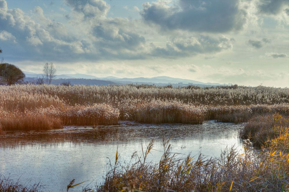 Один осенний день