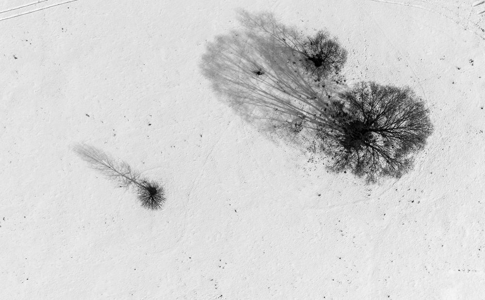 Черное на белом