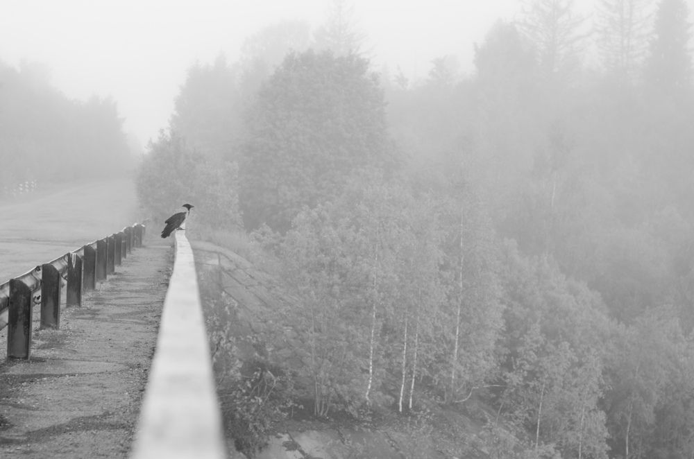 Подготовка