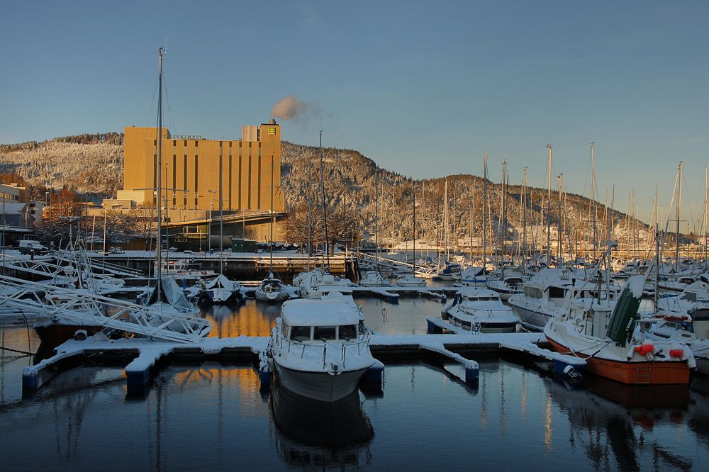 Harbor