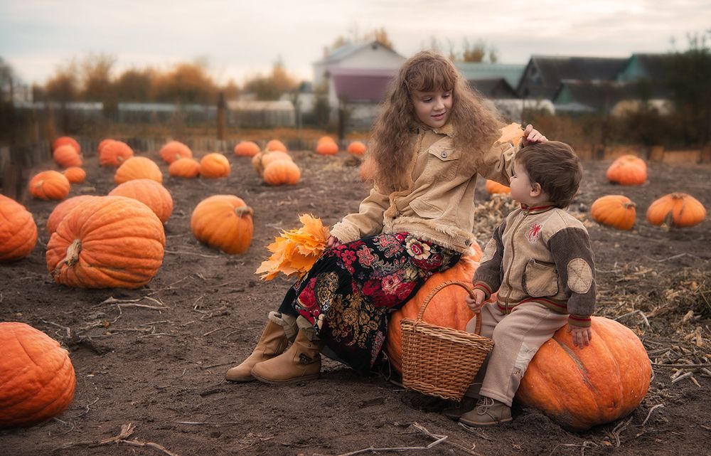 урожайный год