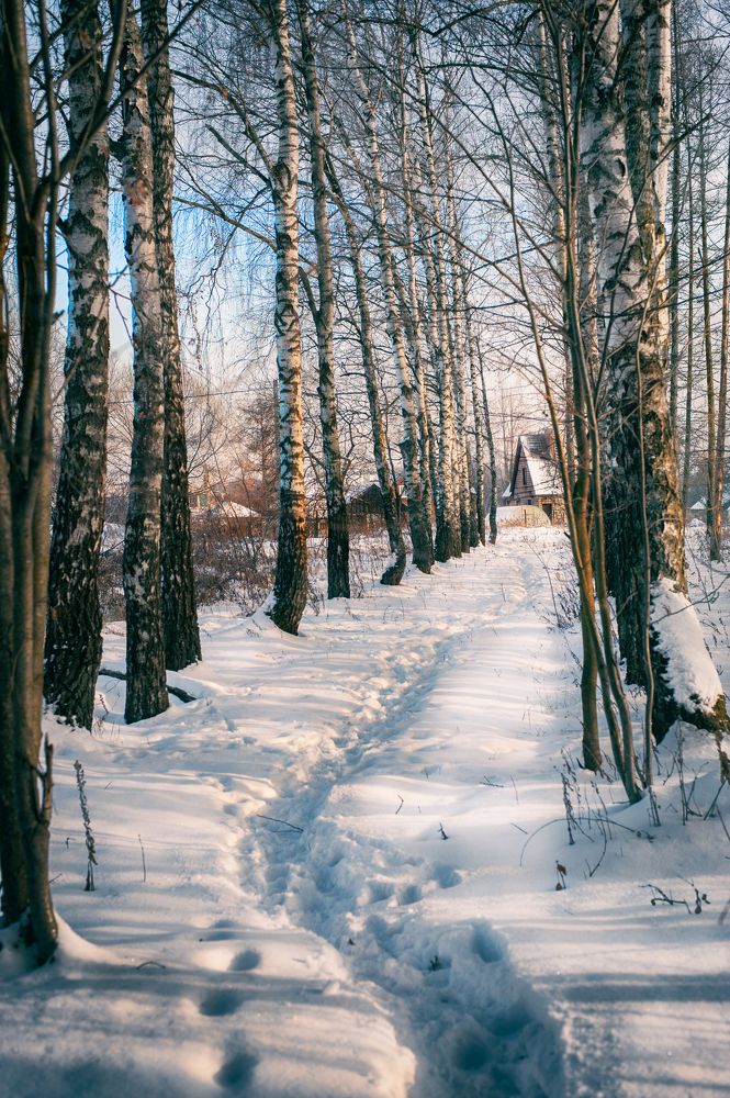Winter road