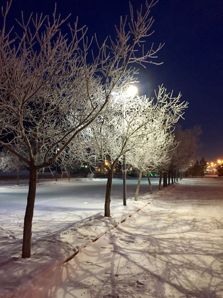 Photograph by Анар Амирова