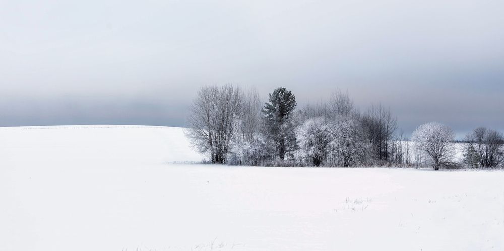русское поле