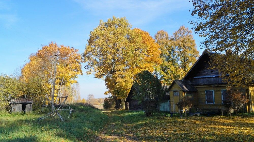 В деревне