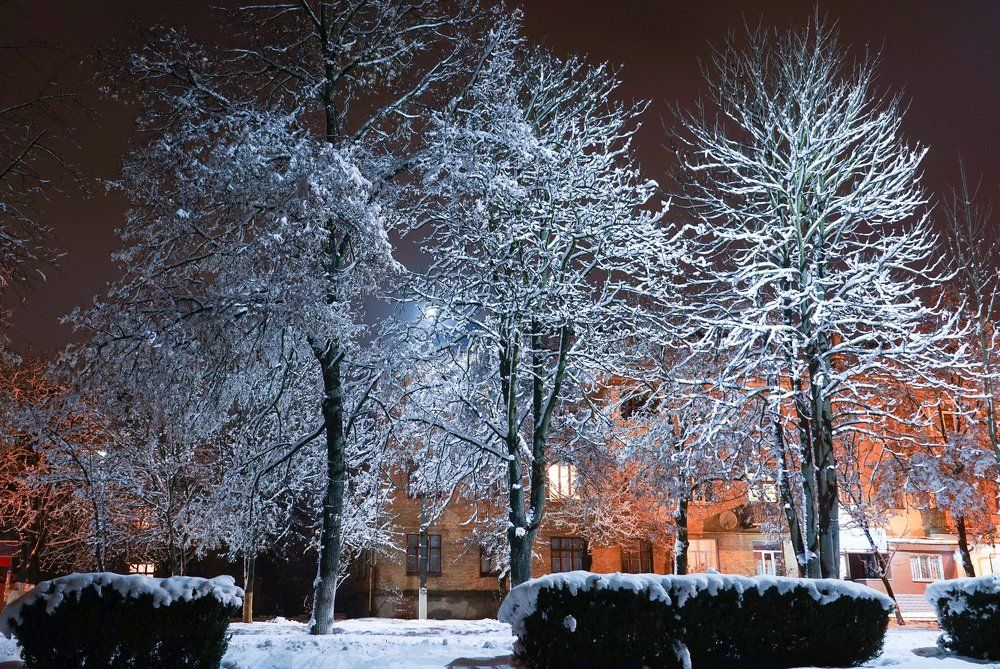 Photograph by Владимир Парадный