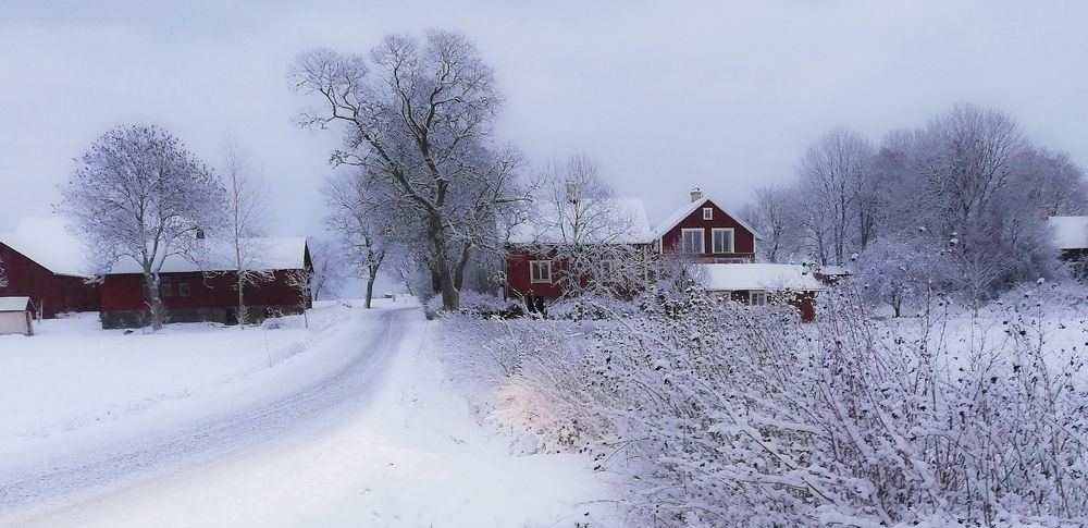 Дорогами Уппланд